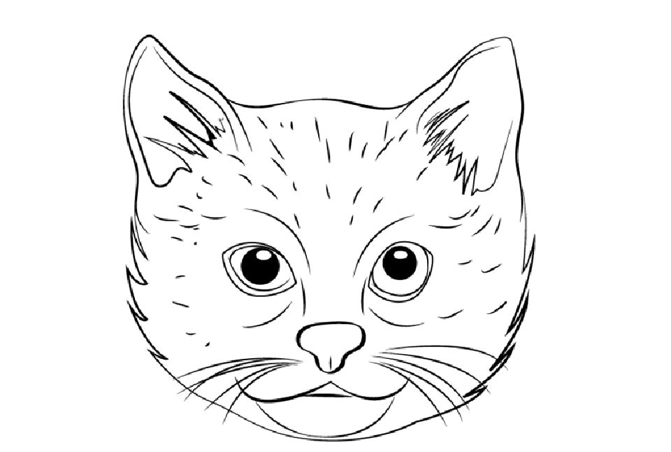 25 Cat Face Drawing Ideas How to Draw a Cat Face