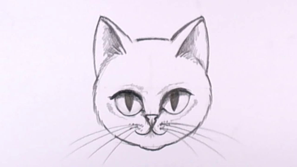 25 Cat Face Drawing Ideas - How to Draw a Cat Face