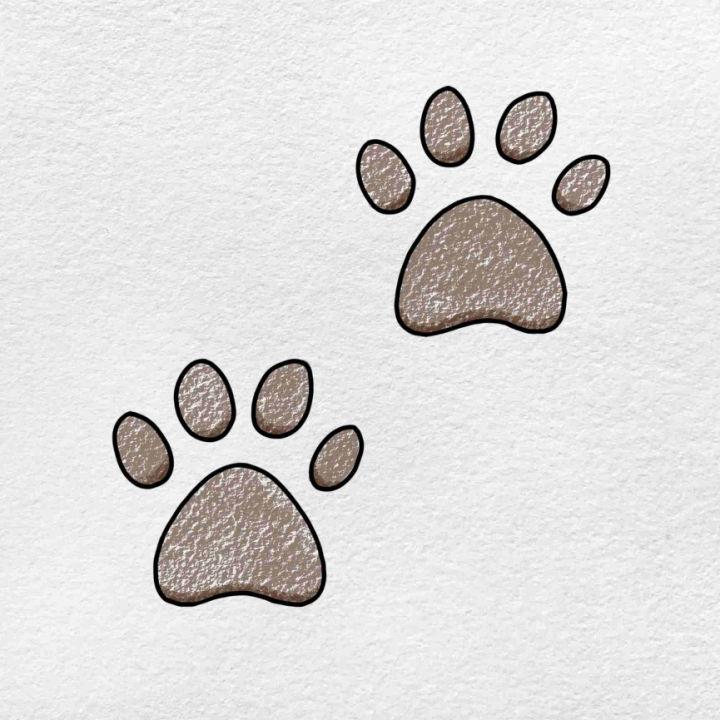 25-easy-paw-print-drawing-ideas-how-to-draw