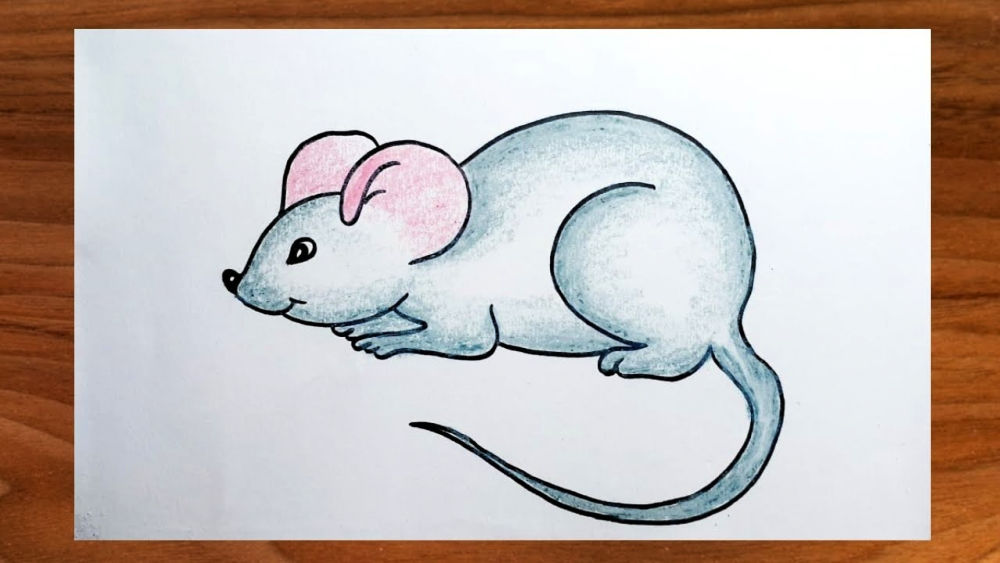 25 Easy Mouse Drawing Ideas - How to Draw a Mouse