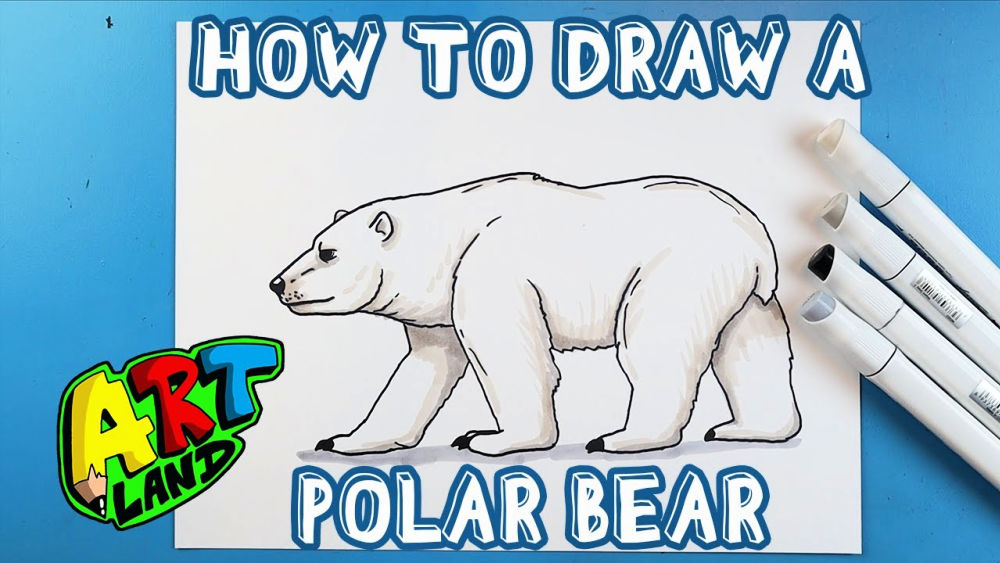 25 Easy Polar Bear Drawing Ideas - How to Draw