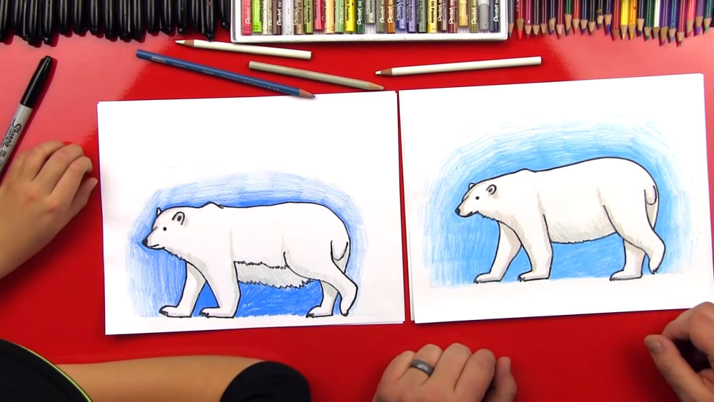 25 Easy Polar Bear Drawing Ideas - How to Draw