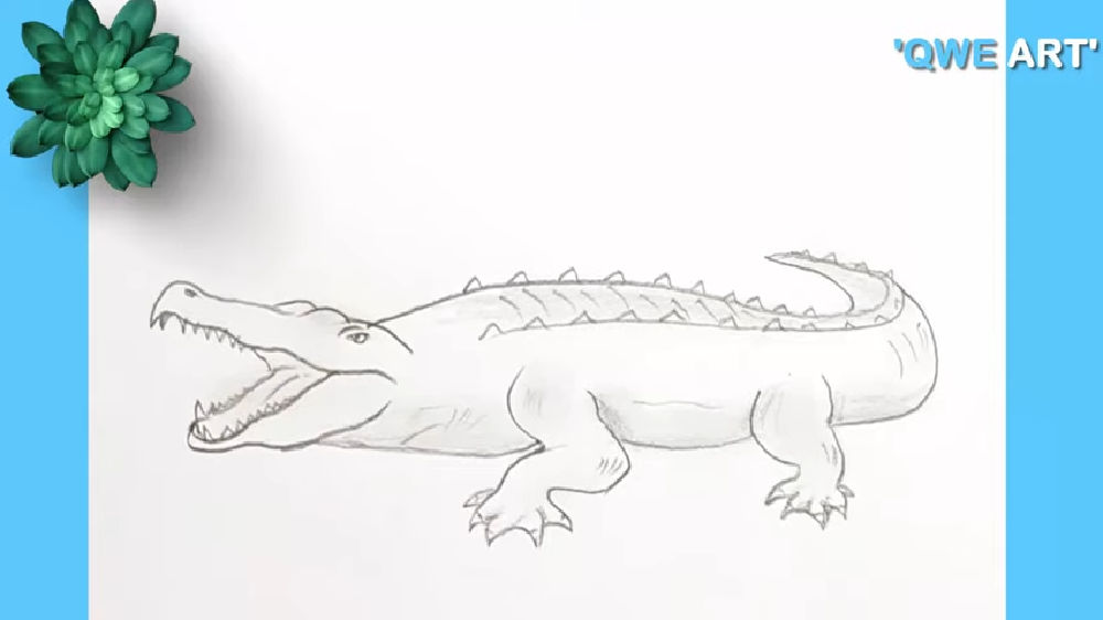 25 Easy Alligator Drawing Ideas - Draw an Alligator