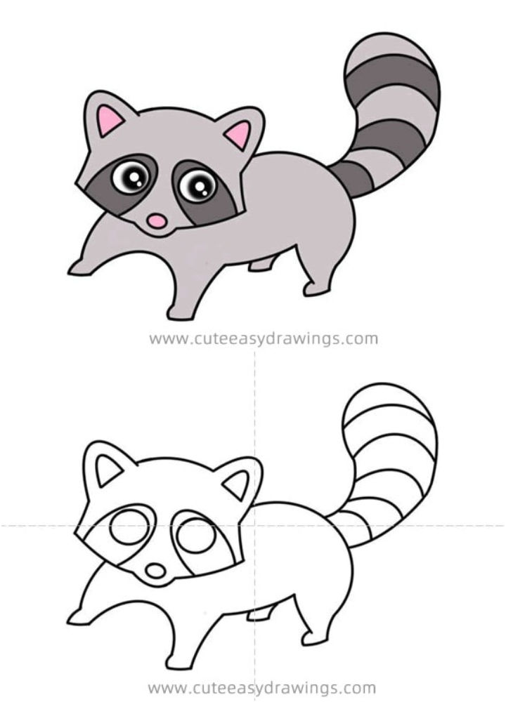 25 Easy Raccoon Drawing Ideas - How to Draw a Raccoon