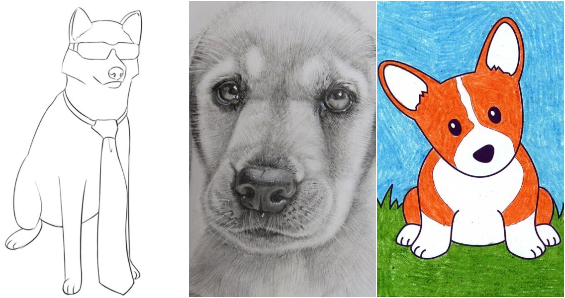 Animal  Drawing Skill