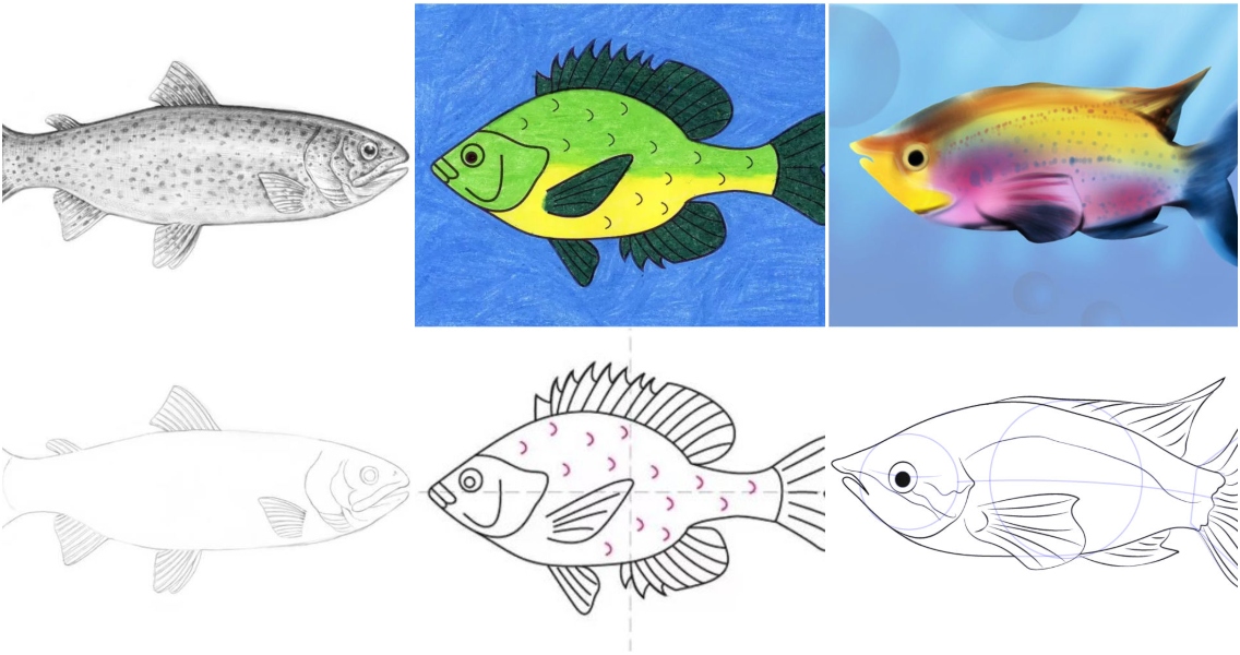 Fish Drawing - Gallery and How to Draw Videos!-saigonsouth.com.vn