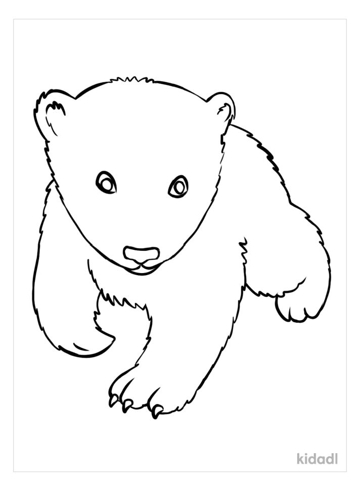 25 Free Bear Coloring Pages for Kids and Adults - Blitsy