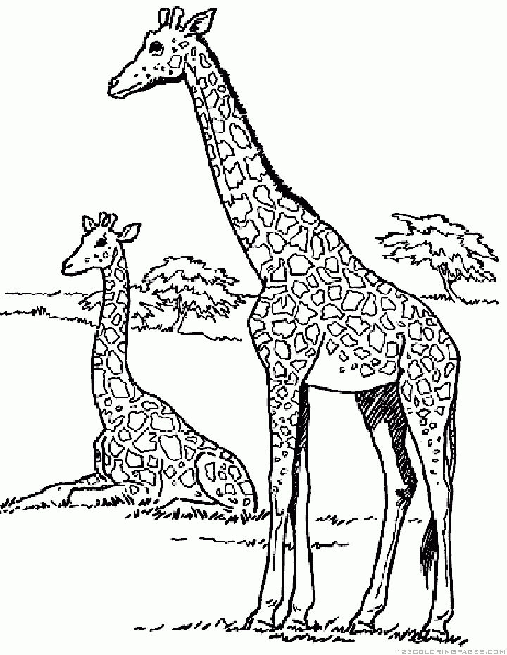 25 Free Giraffe Coloring Pages for Kids and Adults