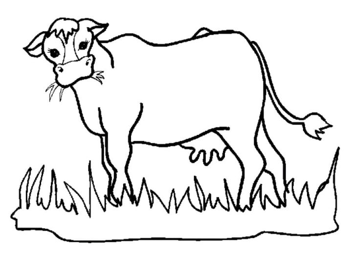 25 Free Cow Coloring Pages for Kids and Adults