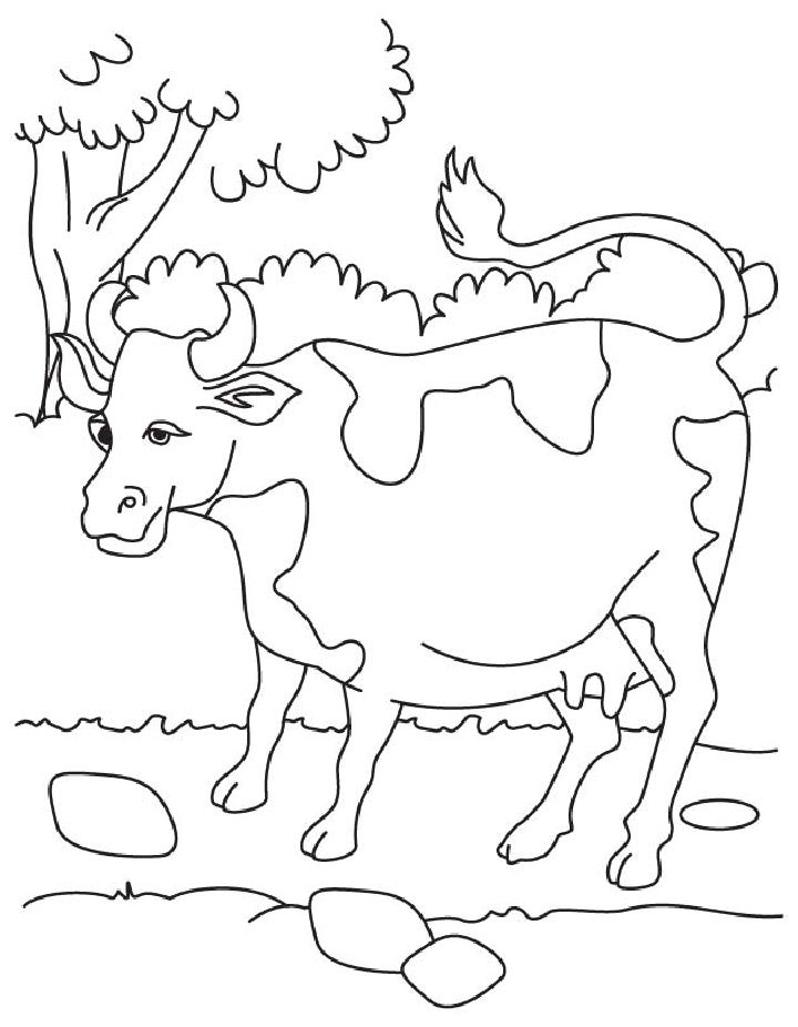 25 Free Cow Coloring Pages for Kids and Adults