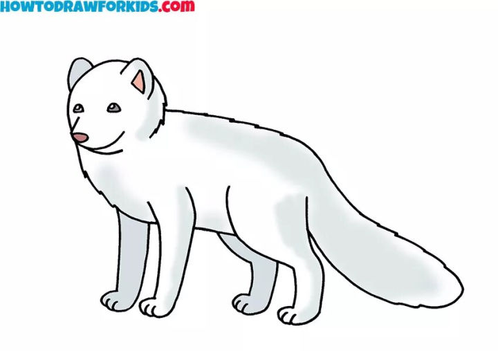 25 Easy Arctic Fox Drawing Ideas - How to Draw