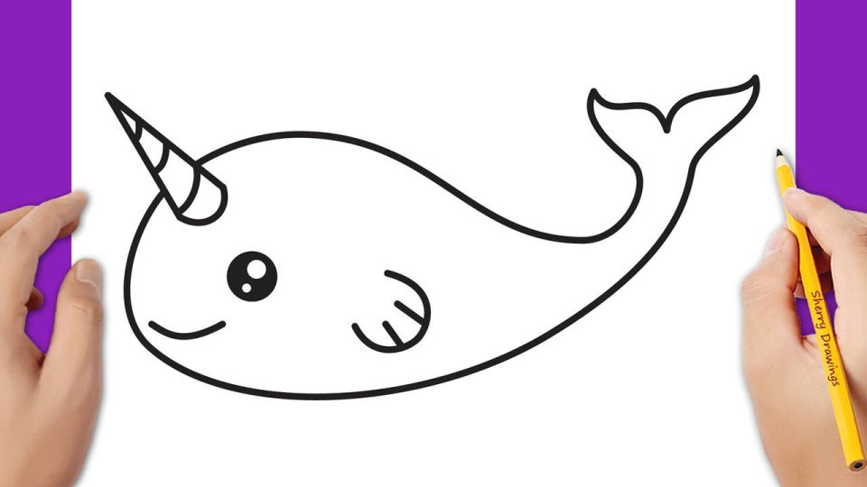 25 Easy Narwhal Drawing Ideas - How to Draw a Narwhal