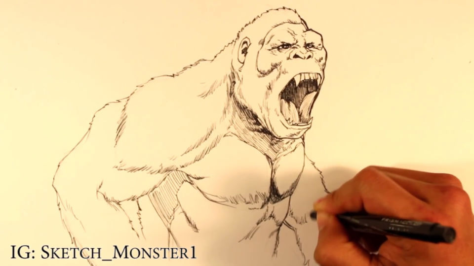 25 Easy King Kong Drawing Ideas How to Draw