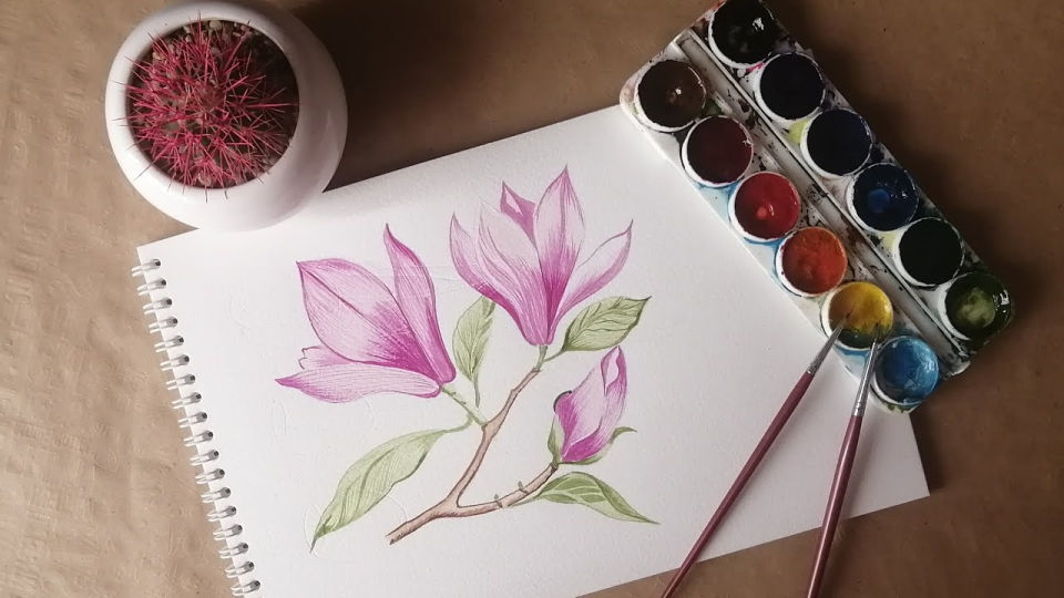 25 Magnolia Flower Drawing Ideas - Draw Magnolia Flower