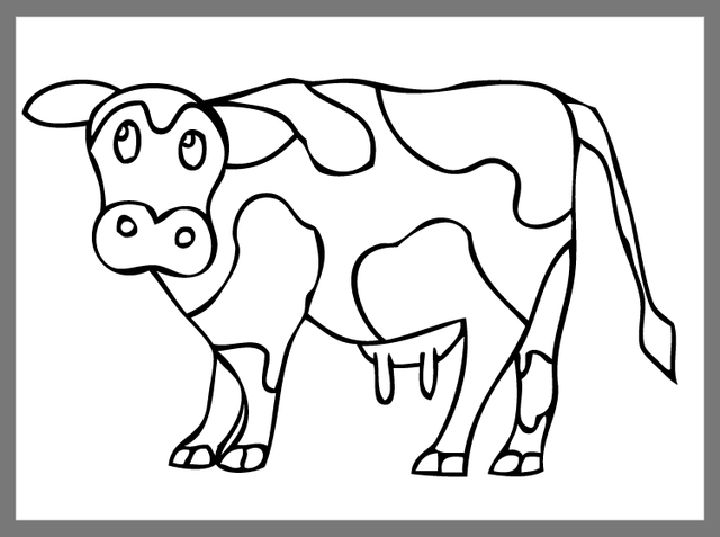 25 Free Cow Coloring Pages For Kids And Adults