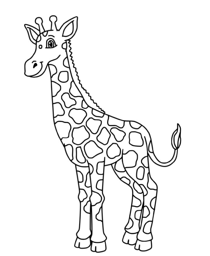 25 Free Giraffe Coloring Pages for Kids and Adults