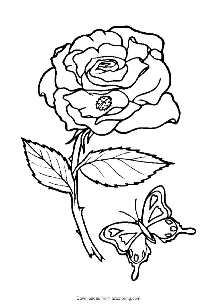20 Free Rose Coloring Pages for Kids and Adults