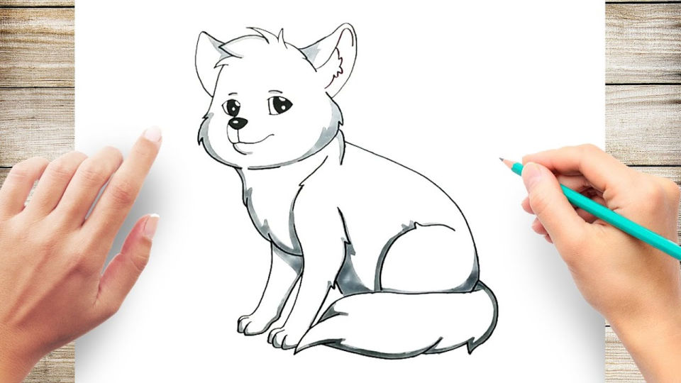 25 Easy Arctic Fox Drawing Ideas - How to Draw