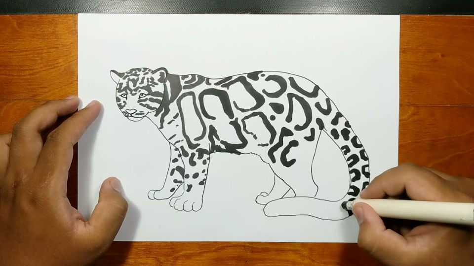 25 Easy Leopard Drawing Ideas - How to Draw