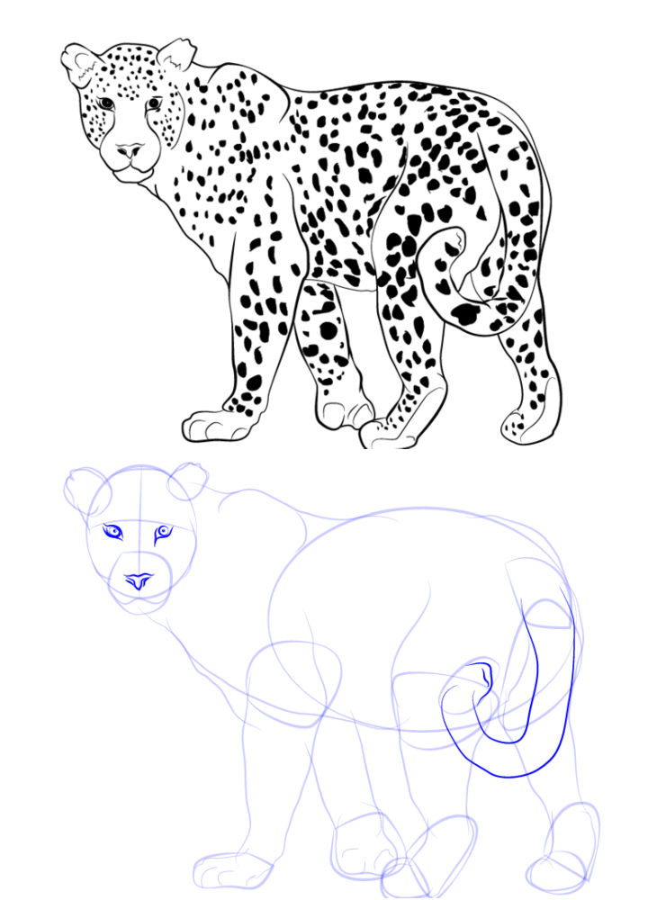 25 Easy Leopard Drawing Ideas - How to Draw
