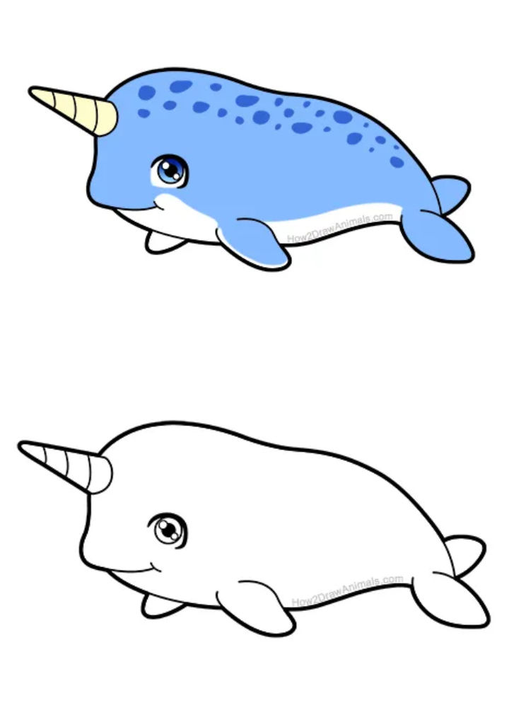 25 Easy Narwhal Drawing Ideas - How to Draw a Narwhal