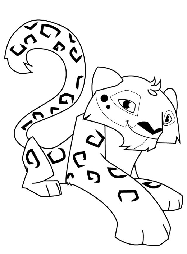 25 Easy Snow Leopard Drawing Ideas - How to Draw