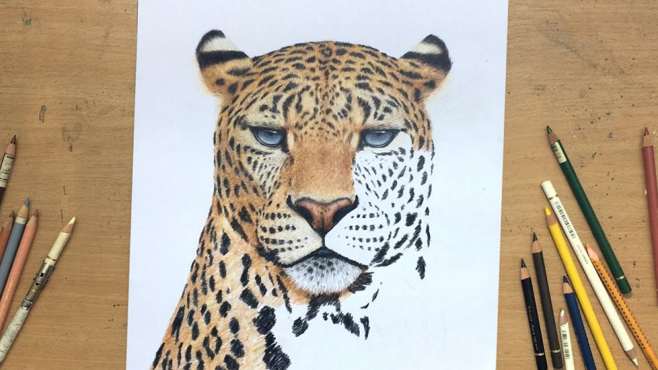 25 Easy Leopard Drawing Ideas - How to Draw