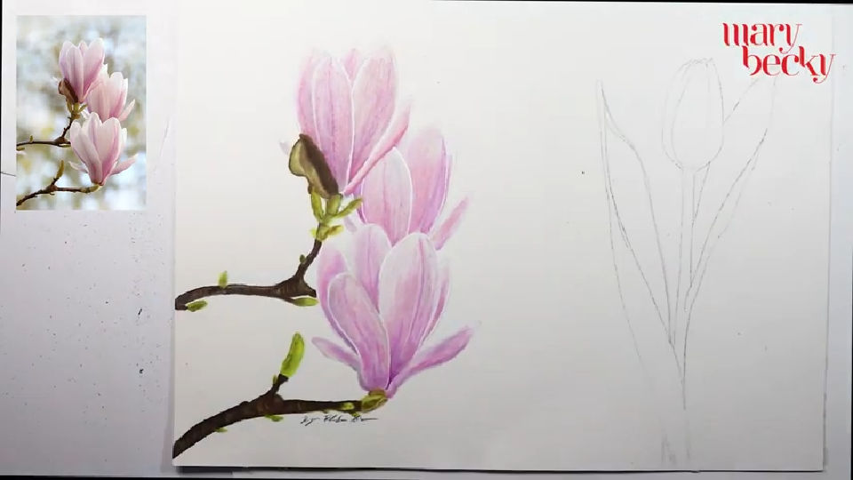 25 Magnolia Flower Drawing Ideas - Draw Magnolia Flower