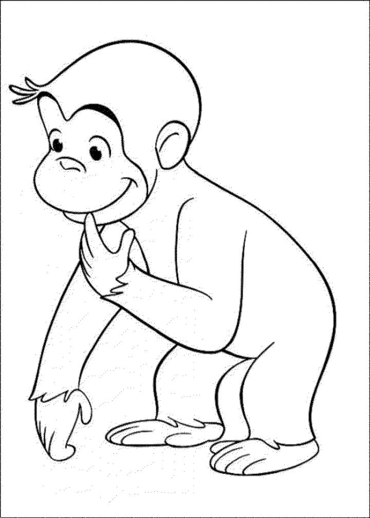 25 Free Monkey Coloring Pages for Kids and Adults