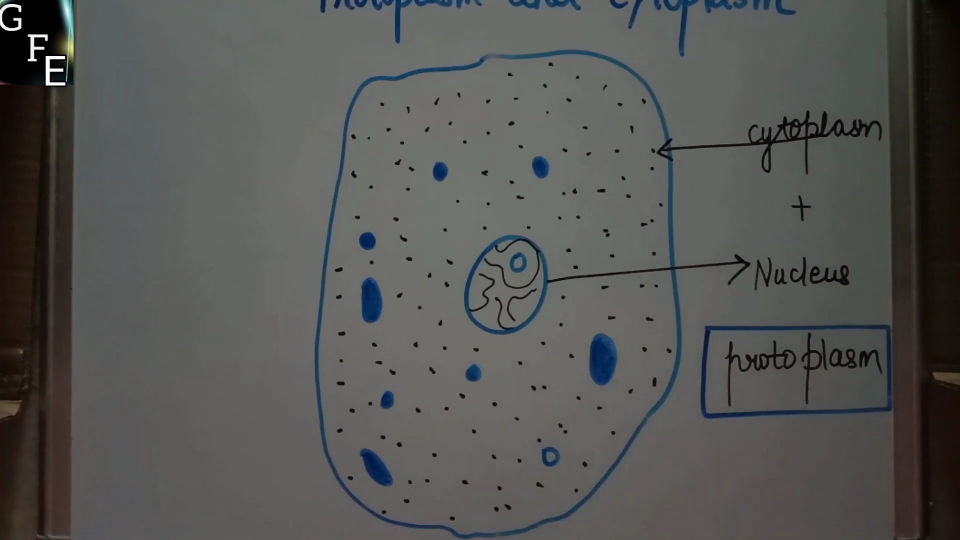 20 Easy Cell Drawing Ideas - How to Draw a Cell