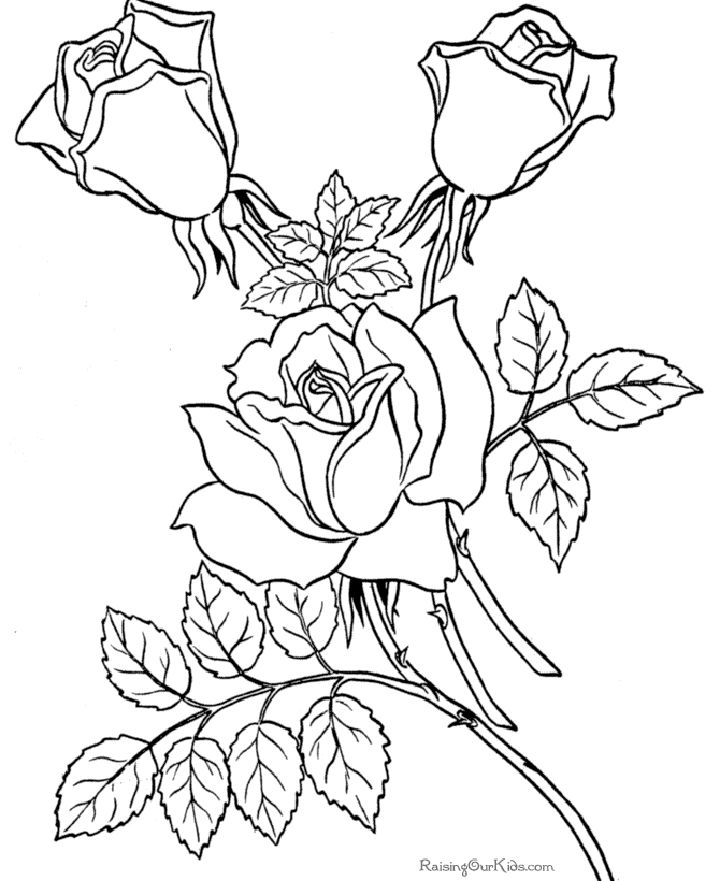 20 Free Rose Coloring Pages for Kids and Adults