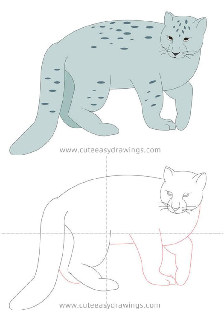 25 Easy Snow Leopard Drawing Ideas - How to Draw
