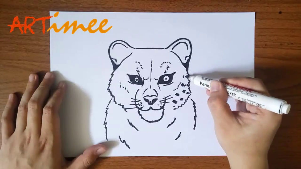 25 Easy Snow Leopard Drawing Ideas - How to Draw