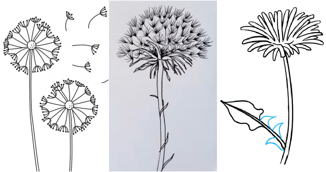 What Do Dandelion Tattoos Mean? Is It For You?