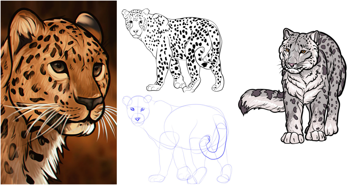 How To Draw A Leopard Head, Step by Step, Drawing Guide, by Dawn