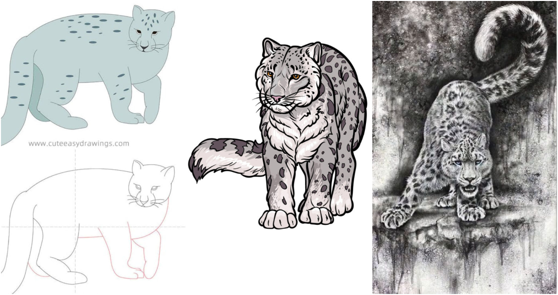 Snow Leopard Drawings  Drawings of Snow Leopards for Sale