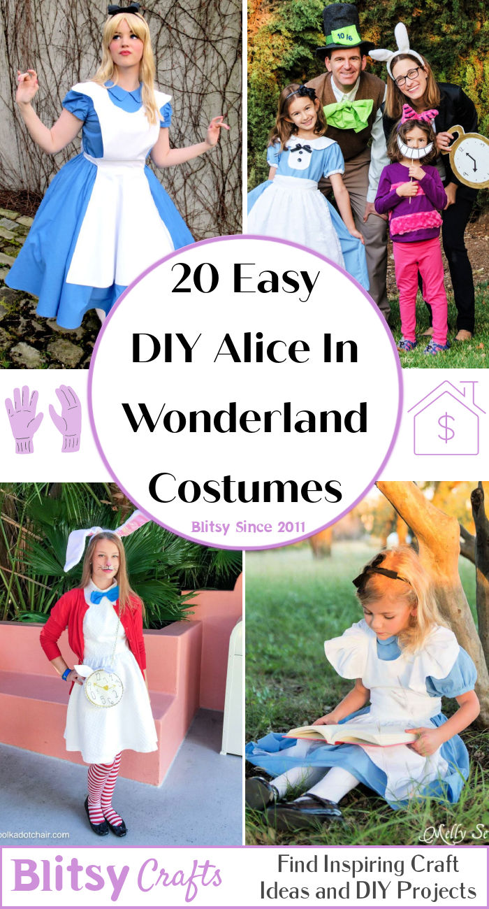 20 DIY Alice in Wonderland Costume Ideas 2024 - Blitsy