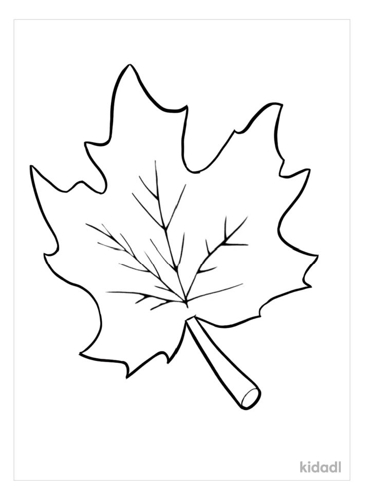 25 Free Leaf Coloring Pages for - Autumn Leaf Coloring Pages 