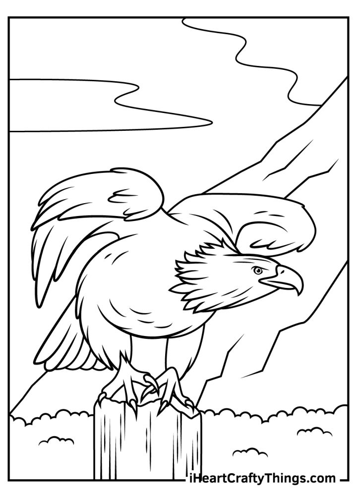 25 Free Bald Eagle Coloring Pages for Kids and Adults