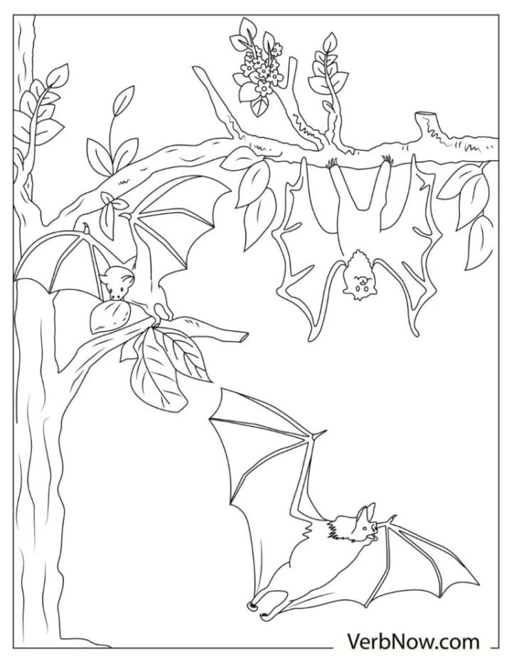 25 Free Bat Coloring Pages for Kids and Adults