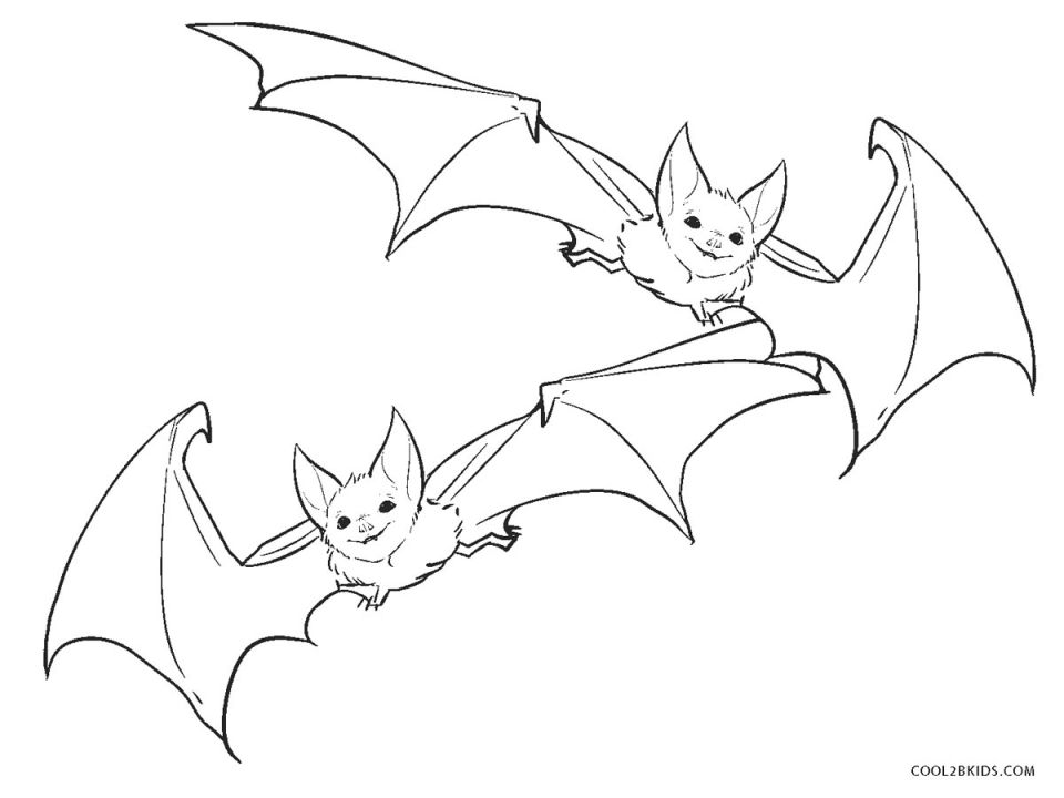 25 Free Bat Coloring Pages for Kids and Adults