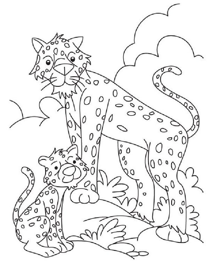 25 Free Cheetah Coloring Pages for Kids and Adults