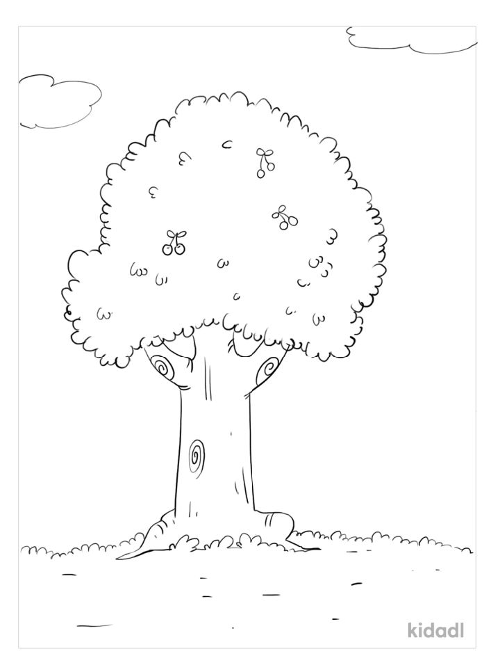 25 Free Tree Coloring Pages for Kids and Adults