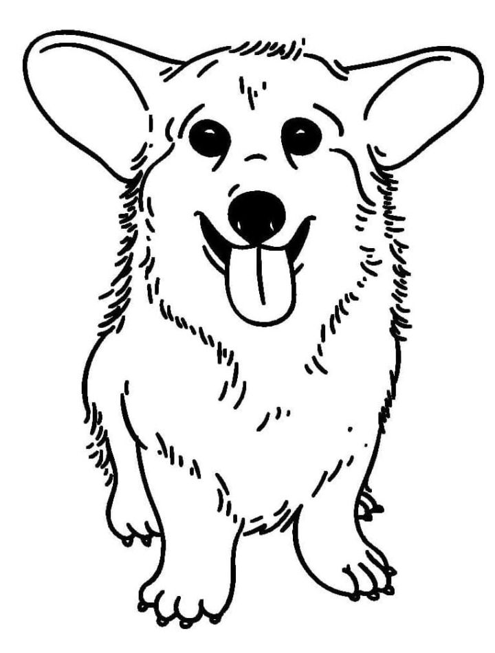 20 Cute Corgi Coloring Pages (Free Printable) - Blitsy