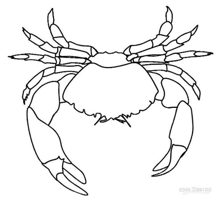 25 Free Crab Coloring Pages for Kids and Adults - Blitsy