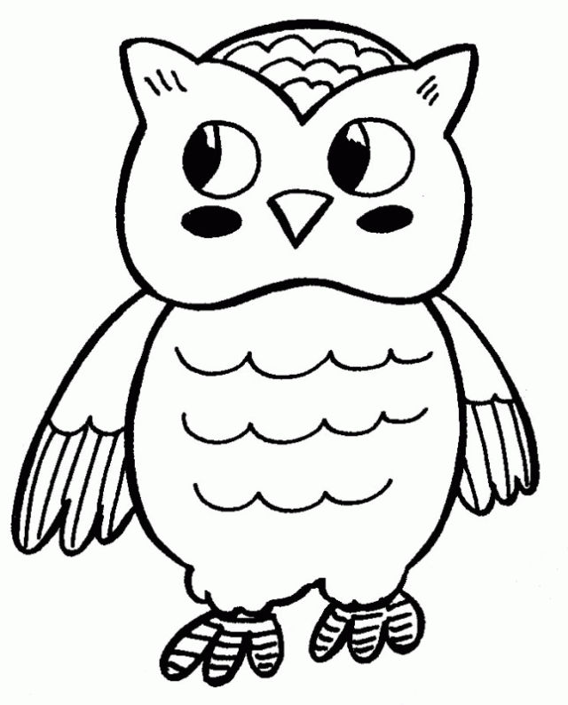 25 Free Owl Coloring Pages for Kids and Adults