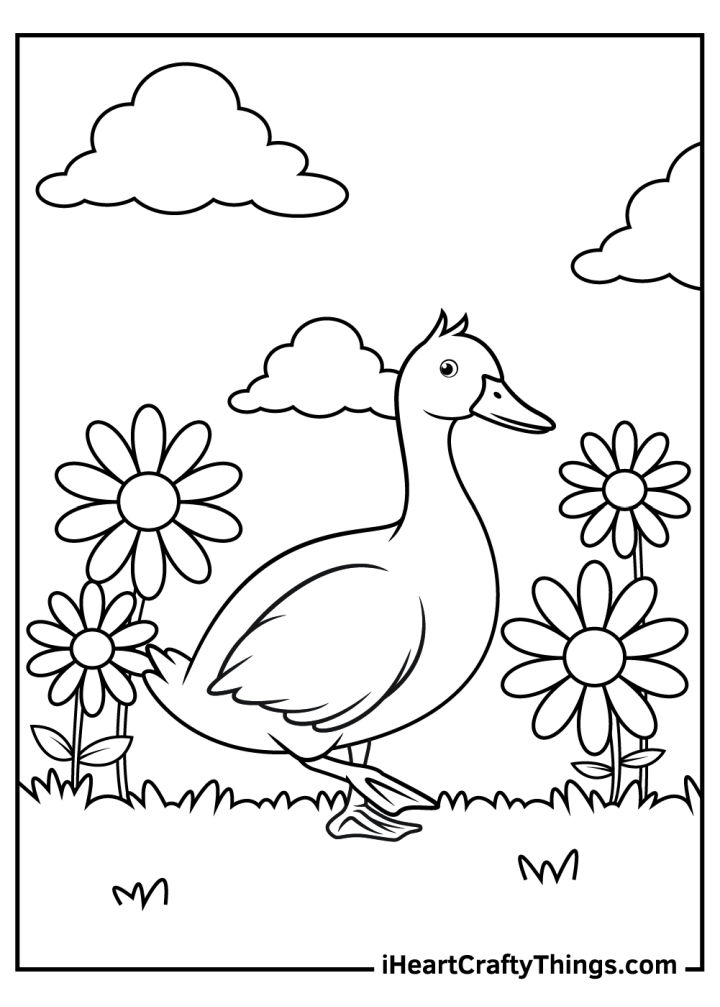 25 Free Duck Coloring Pages for Kids and Adults