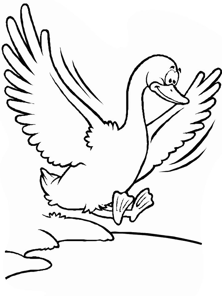 25 Free Duck Coloring Pages for Kids and Adults