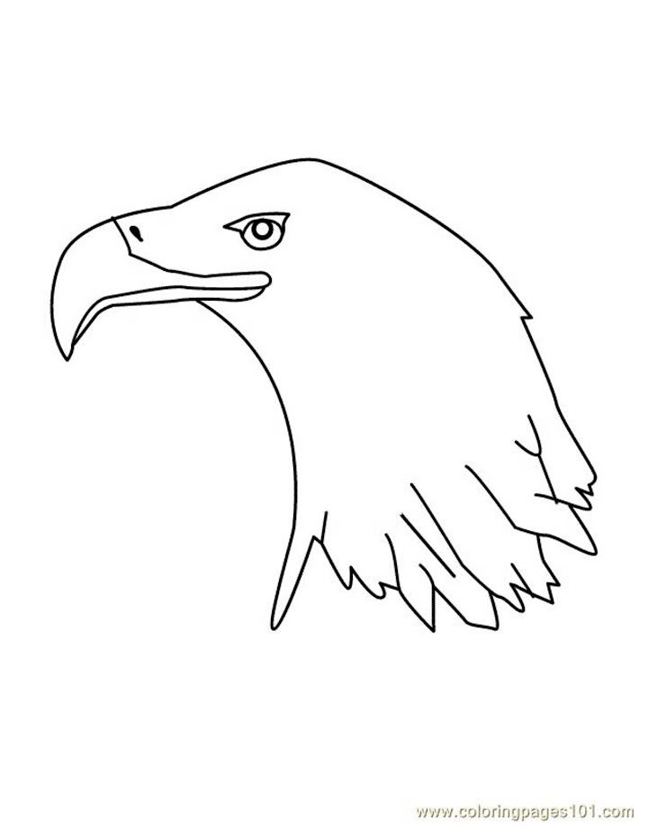 25 Free Bald Eagle Coloring Pages for Kids and Adults