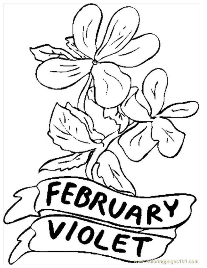 20 Free February Coloring Pages for Kids and Adults